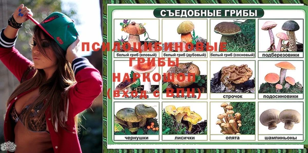 дживик Богородск