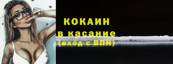 дживик Богородск