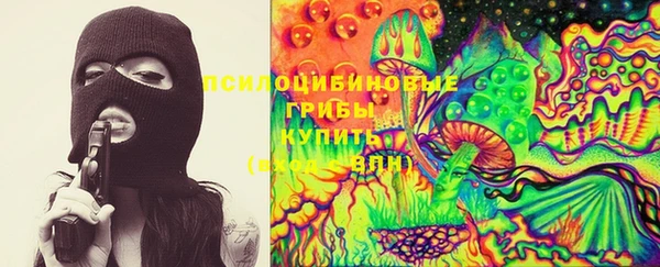 дживик Богородск