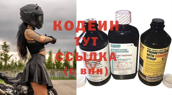 дживик Богородск